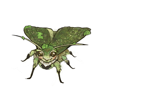 Mossy Moth Curio Shop
